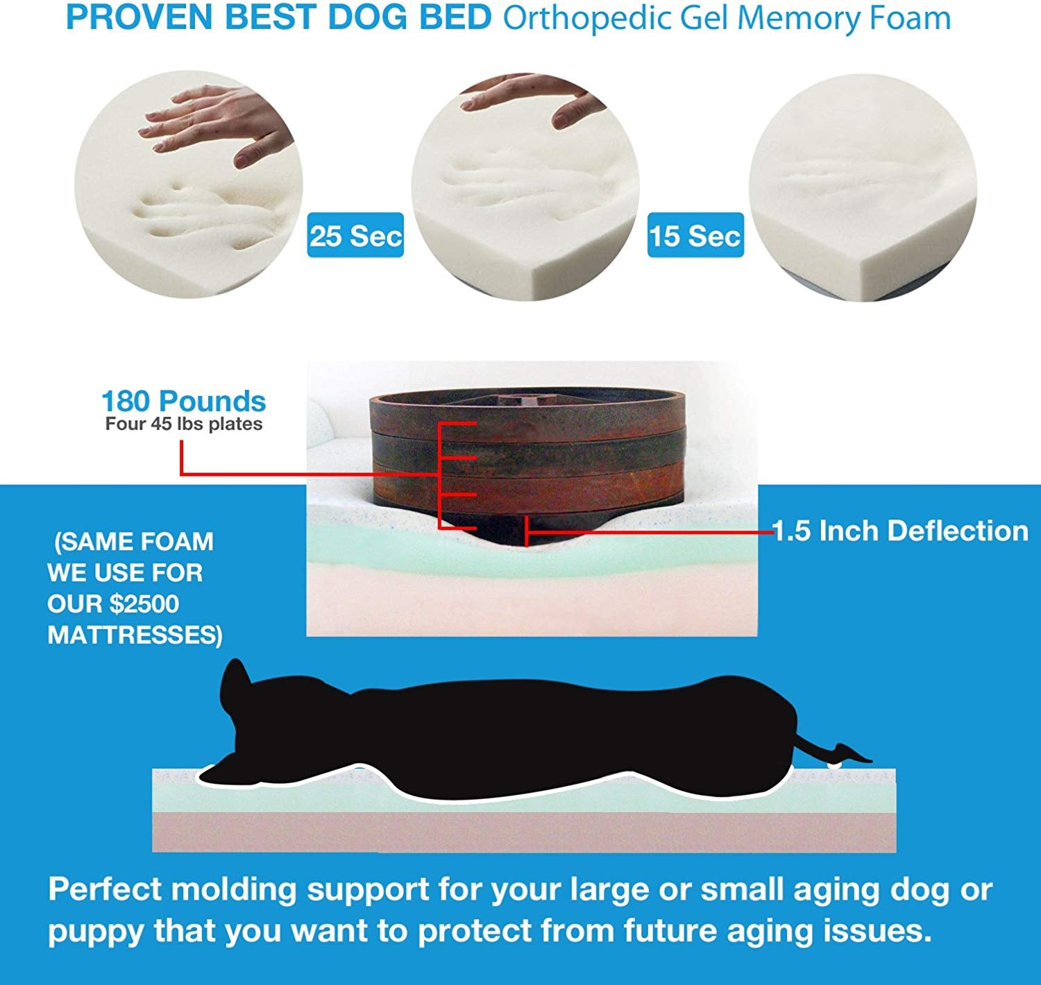 Diagram of a dog on the Big Dog Orthopedic 7