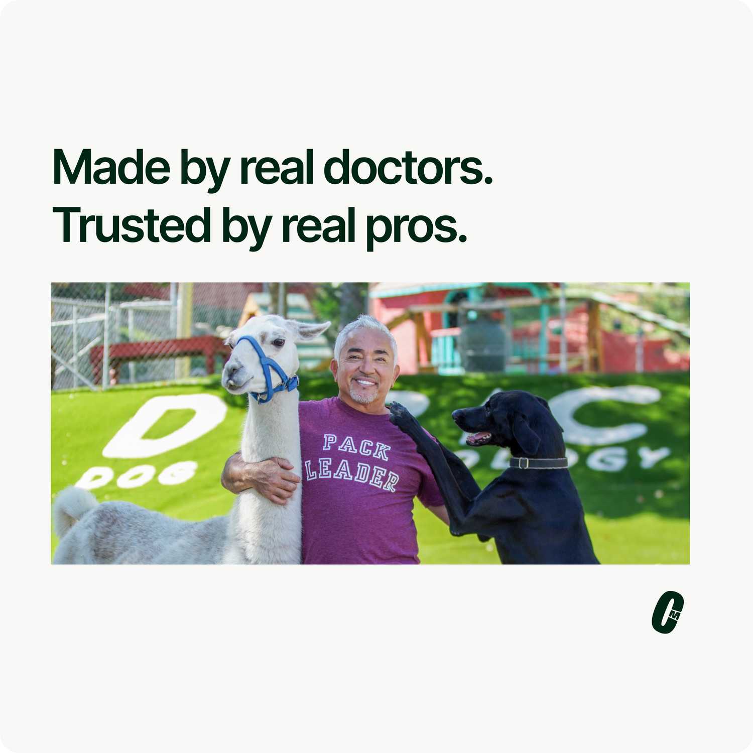 A smiling man in a “Pack Leader” shirt stands outside holding a white llama and petting a black dog, showcasing the Snooz Dog Bed. Bold text above reads, “Made by real doctors. Trusted by real pros.” in a large white frame.