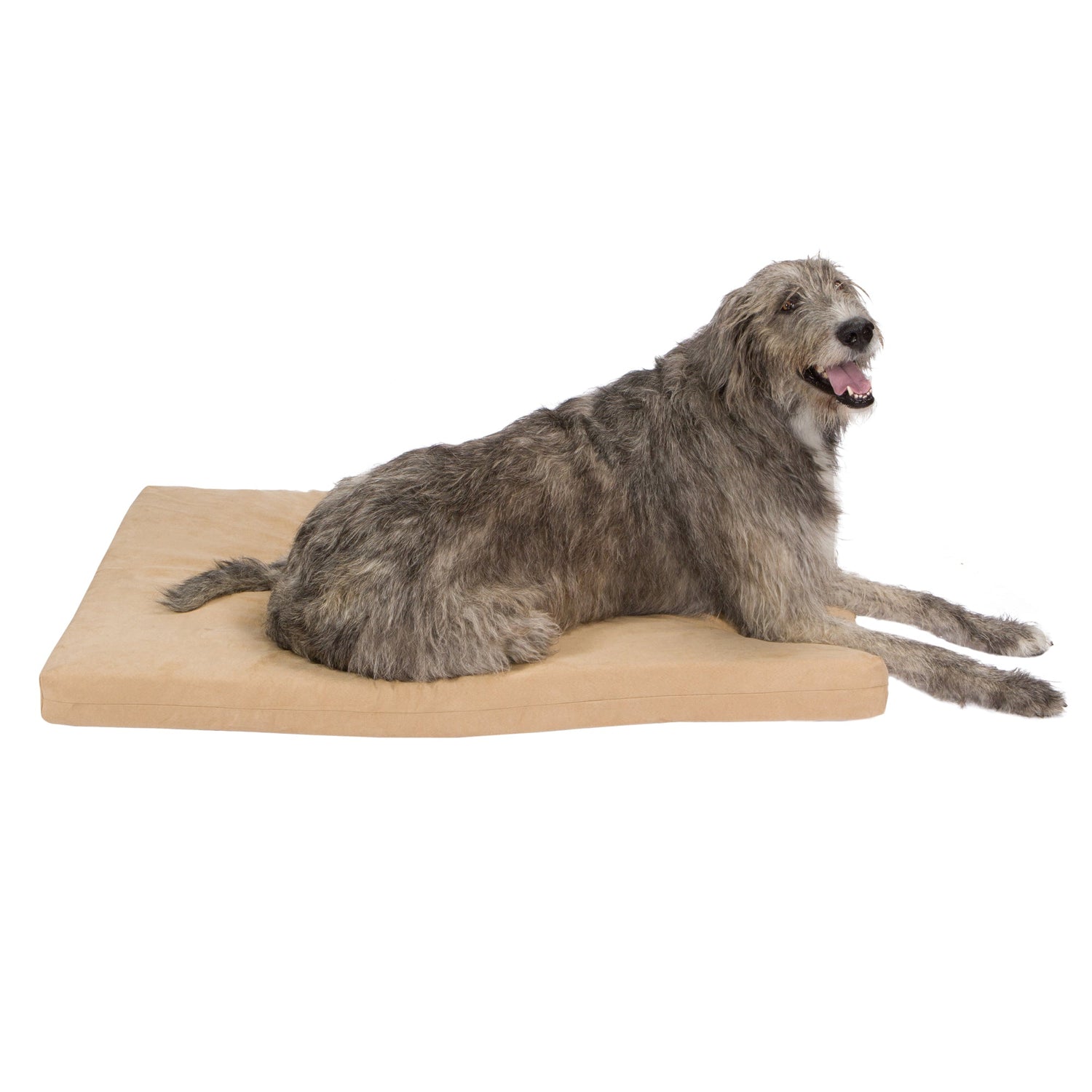 A large, shaggy gray dog lies content on an Orthopedic Memory Foam Dog Bed in tan, mouth open and tongue out. The background is plain white.