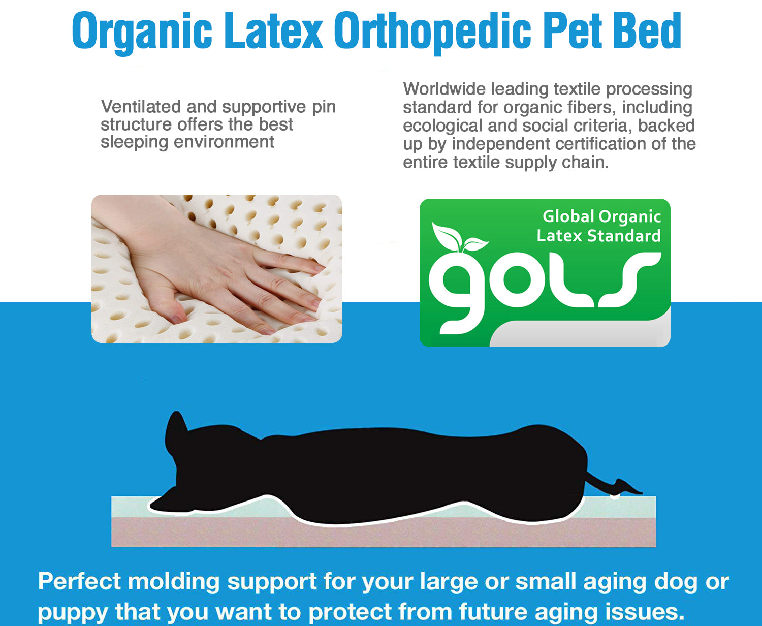 A hand presses into a dimpled latex surface. To the right, the GOLS logo appears. Below, a dog silhouette rests on the 100% Natural Materials Orthopedic Dog Bed. Text highlights its supportive organic latex features for pets.