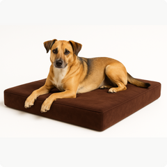 A medium-sized brown and tan dog lies on the rectangular Snooz Dog Bed for joint pain relief, set against a plain white background.