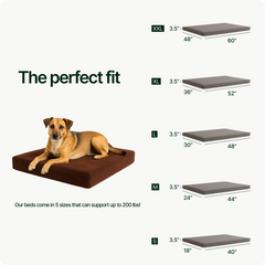 A brown dog rests on a large rectangular Snooz Dog Bed. Five sizes, S to XXL, are shown on the right, each with dimensions and thickness for every memory foam option.