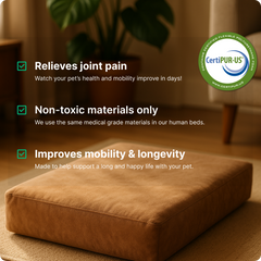 The Snooz Dog Bed, a brown orthopedic bed, rests on carpet with green checkmarks and text highlighting joint pain relief, non-toxic CertiPUR-US certified materials, and improved mobility and longevity for pets.